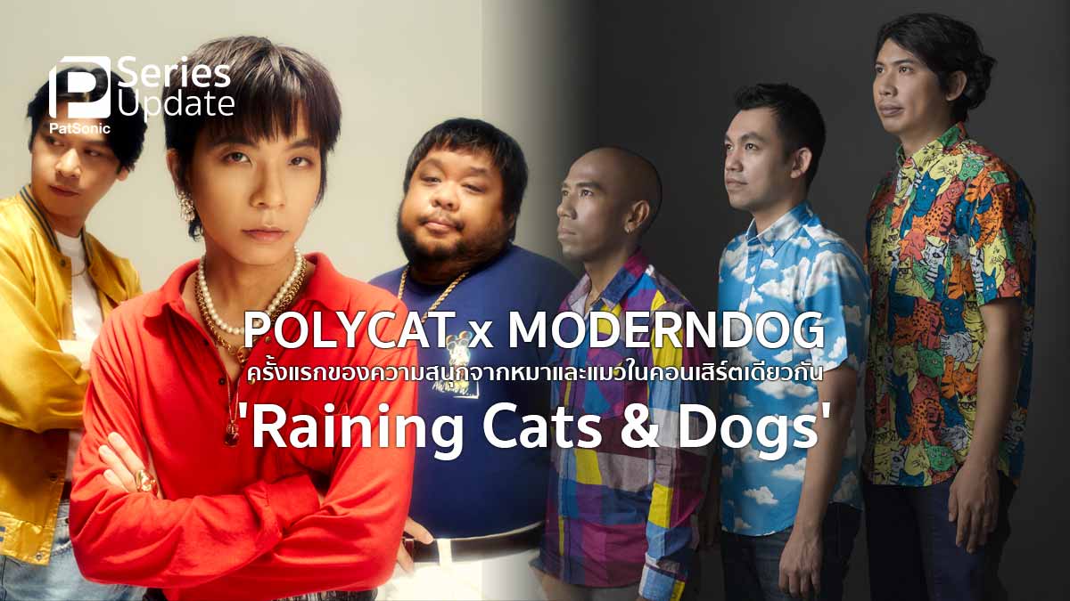 Polycat x Moderndog ครั้งแรกของหมาและแมวบนเวทีเดียวกัน คอนเสิร์ต Raining Cats & Dogs